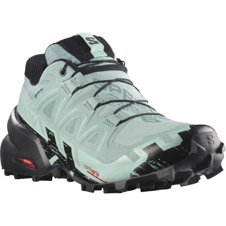 Salomon Speedcross 6 GTX L41743500 Front