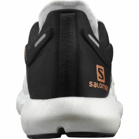 salomon predict 2 mens running shoes white 30428425814224